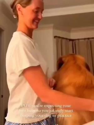 Funny and cute dogs compilation 🤣 🥰 #funnydog #funnypet #cutedog #dogoftiktok #doglover #dog 