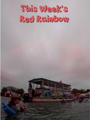 . This was a first for me!😍 They are a rare phenomenon, typically occurring around Sunrise/Sunset with a light rain!🌈 It was truly incredible for our students to witness such a magical moment!🙌🏻 . . . . . #birdsunderwater #manatee #manatees #seacow #crystalriver #florida #diveshop #travel #explore #nature #redrainbow #rainbow #wild #earth #spring #snorkel #swim #passiveobservation