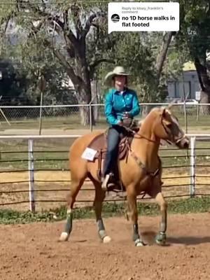 Replying to @kloey_franklin They do if you train them to #foryou #fzperformancehorses #foryoupage #barrelracer #southdakota #westernhorse #palomino 