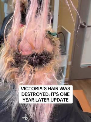 VICTORIA’S HAIR WAS DESTROYED: One Year Update Part 1 #hairchallenge #hairhelp #fyp #hairtok #bleach #gonewrong 