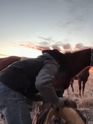 Wearing Amritas in the land of leggings #fyp #rodeo #cowboy #cowboyshit #dolanpool #goviral 