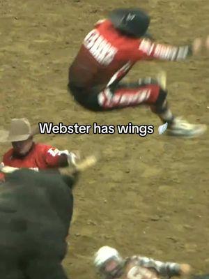 Webster has wings 🪽 #pbr #utb #bullriding #bullfighter #codywebster #denver #nationalwesternstockshow 