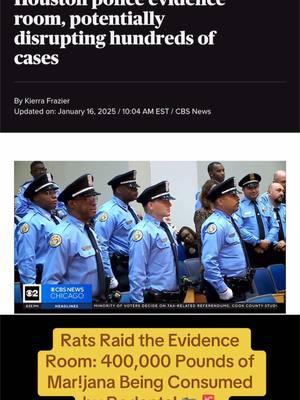 Full story @cbsnews https://www.cbsnews.com/news/drug-eating-rats-houston-police-evidence/ #Houstonpolice #Rats #Evidence #nonprofitsoftiktok 