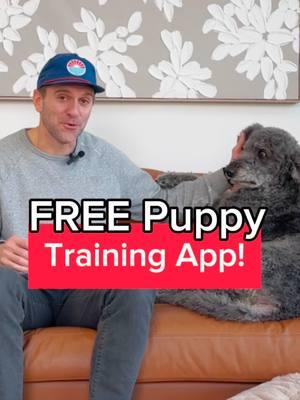 Our founder Mike talks all about the new Pupford app📲🎉🐶 It was designed for both new AND long-time pup parents! Build a better relationship by downloading the app 🐾❤️ #pupford #newpuppy #pupparents #puppytraining #freedogtraining #dogtrainingtips #pupfordapp #dogtok