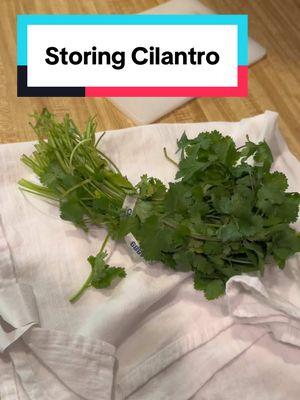 Everything you’ve ever wanted to know about storing cilantro is either in this video or in the comments. The foil method ended up working almost as well as the deli container. Please add what you do in the comments!😁🌱 #OptimisticKitchen #happyeating #makeyourkitchenyourhappyplace #HomeCook #FoodBlogger #foryou #fyp #fypfood #CookingTikTok #FoodTok #foodtiktok #HomeCooking #freshproduce #bulkproduce #foodbudget #reducefoodwaste #cilantro #creatorsearchinsights 