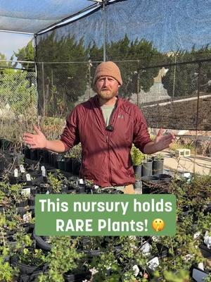 Welcome to the Science & Conservation Nursery! Join Joe on a tour through the nursery as he safeguards rare acorns from pesky crows, shows us what's growing under the shade house, and introduces us to some of our hardworking volunteers. 🌿Drop your favorite native plant in the comments below! #scienceandconservation #nativeplants #scicon #plantsmakepeoplehappy #sandiegobotanicgarden #sdbg