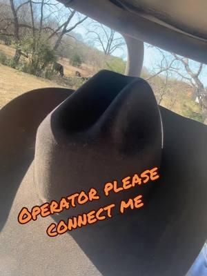 #fyp #fypシ゚viral #dirtcheapcattlecompany #mississippi #cowtiktok 