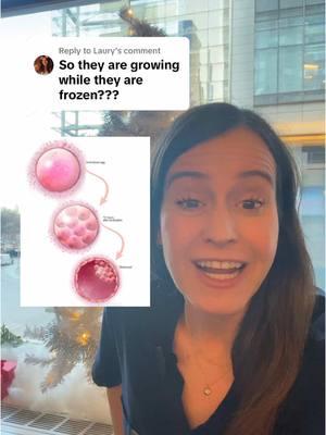 Replying to @Laury Thank You so much for asking this question!! Hoping this helps you and others😌🌸 #frozenembryotransfer #embryo #frozen #ivf #fertility #fertilitydoctor #doctorsoftiktok #fertilityclinic #newhope 