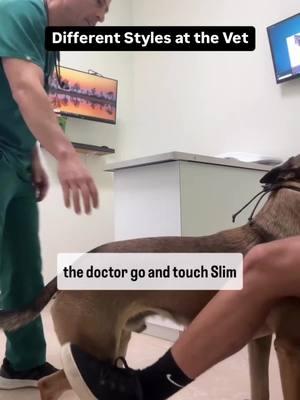 My dog recently had a surgery and needed his shots and blood draw before the big day. He did great using cooperative care techniques, even though he’s not the biggest fan of strangers and it’s hard to film and work my dog at the same time. Vets sent me the first video, concerned about the ramifications of pairing e-collar shock (let’s not get into semantics here) with a dog turning towards a vet. Can this create a negative association? And does it matter? For some trainers who aren’t raising family pets and want 100% compliance no, it wouldn’t matter. For me it definitely does. What do you think? #dogbehavior #DogTraining #cooperativecare #vetlife