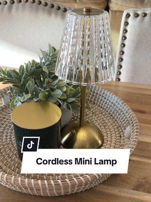 Add some ambient light anywhere with these gorgeous rechargeable mini lamps ✨ #livingroomdecor #cordlesslamp #cordlesslighting #rechargeablelamp #homedecorideas #shelfstyling #shelfdecor @Bell and Howell 