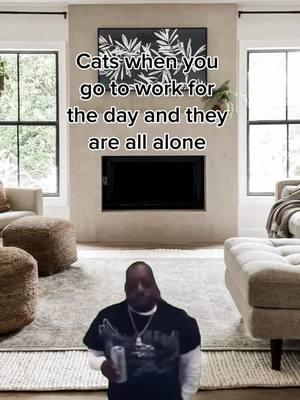 They are having the best vibe session #catmemes #catmemesdaily #catmemesforlife #funnycats #funnycatsoftiktok #memes #meme #comedy #funny #fyp #fypシ 