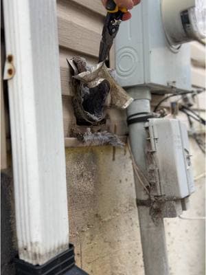 Full dryer vent service. Cleaning with an exterior vent upgrade. #hvac #contractor #handyman #DIY #SmallBusiness #delaware #homeimprovement #dryerventcleaning #asmr #oddlysatisfying 