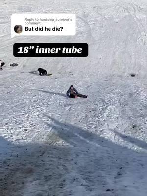 Replying to @hardship_survivor she survived to try other methods🤣 #sledding#tik#tiktokindia #tiktoker#viralvideo#2ndborn#fun#fypシ゚viral 