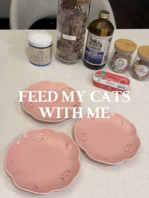 Feed my cats with me 🤍  Dish of the Day 🍽️ ⟡ @Viva Raw Venison ⟡ @crudecarnivore Lamb Bone Broth ⟡ RAWZ Aujou Chicken & Pumpkin ⟡ @Adored Beast Apothecary Love Bugs ⟡ @Open Farm Pet Salmon Mousse ⟡ @Bellepepper Cats 🐱🐶 Beef Lung ⟡ Cookie’s Heart Treats ⟡ @Petit Pawtisserie Flower Treats   Discounts 💌 🔖 “SIMPLEKITTIES” | 20% off Viva Raw 🔖 “SIMPLEKITTIES15” | 15% off Open Farm 🔖 “SIMPLE15” | 15% off Cookie’s Treat 🔖 “SIMPLEKITTIES15” | 15% off Crude Carnivore 🔖 $20 off Adored Beast in bio 🔗 🏷️✨ #catparent #catcare #catfood #petfeeding #cattreat #cattreats #pettreats #whatmycateats #whatifeedmycats #feedmycat #feedmycatswithme #feedingmycats #cateating #catfeeding #feedingcats #catfeedingroutine #catfoodprep #catfoodrecs #catfoodideas #petfood #rawcatfood #vivaraw #RAWZ #RAWZNaturalPetFood #RAWZPets #PetFoodWithAPurpose #RAWZPartner 