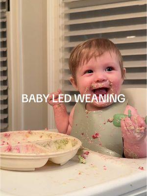 To be clear – I do not care if she gets messy! I love that part of exploring food for her, we’re just trying to improve her spoon skills lol #babyledweaning #babyledweaningideas #firsttimemom @Lalo - Baby and Toddler @siggisdairy @Mockingbird - Baby Gear 