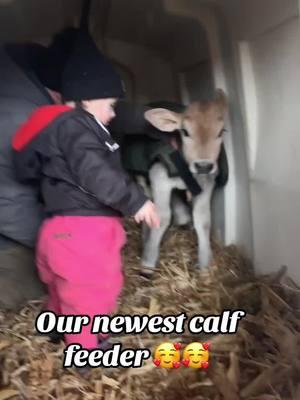 The newest calf feeder at Knapp Gen #girlswhofarm #farmtok #iowafarmer #farmgirl 