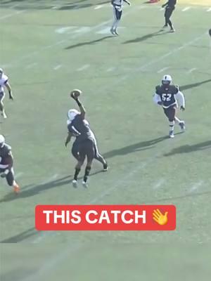 Bro got 5 D1 offers after that play 😭 (via amadandersonjr) #football #onehand #catch #highschoolfootball #athlete #highlights #highschoolsports #widereciever 