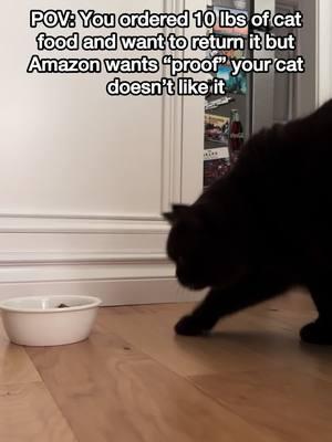 Here’s your proof, Amazon. Is it obvious enough? 😹 #foodcritic #pickycat #amazon #funnycatvideos #catlogic #cattitude #catsbeingcats #catreaction #mikaandmocha #notapproved #mochabrowncat