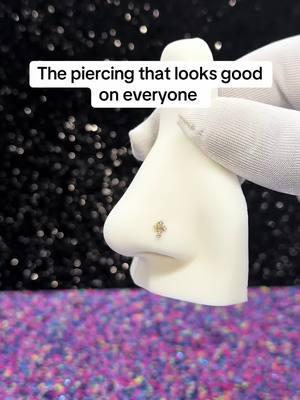 #bodyjewelry #bodypiercing #piercing #nosering #nosepiercing #nosepierced 