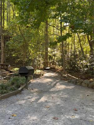 life at Treehouse Grove >>>  #treehousegrove #glamping #GSMNP #fall #cozy #cozyvibes #fallfoliage #mountaintrip #fallfoliage #cabinlife #airbnbfinds #gatlinburg #treehouse #treehousemasters #nature 