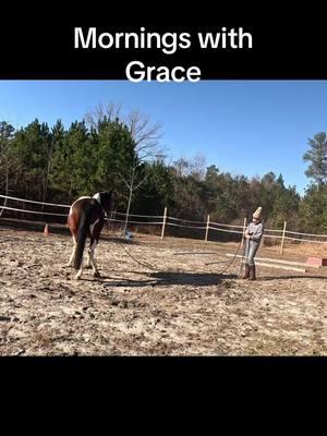 Ground work #groundwork #newhorse #connectiontraining #americanpainthorse #findinggrace 