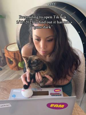 This trend always made me laugh 😂 at this point I’m just trying to make myself laugh instead of cry about the potential b*n 😆😭🫠  #savetiktok #catmom #tortie #fyp