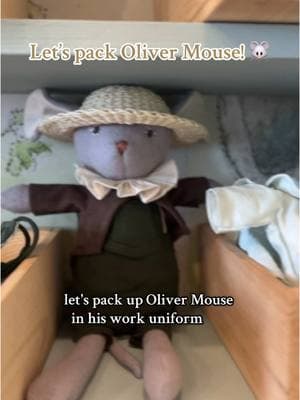 To Elijah, we hope you like your new friend Oliver & your packing video. While some of these pieces are sold out, you can still shop Oliver & his formal capacities for a limited time. Hurray! #hazelvillage #stuffedanimals #toys #plushies #packingorders 