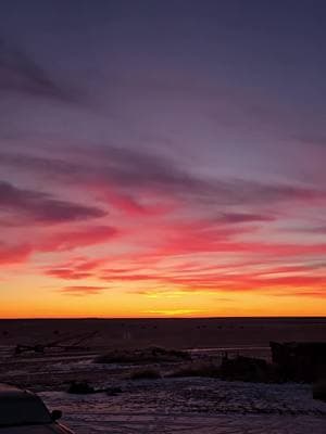 Thursday Sunrise! Turn the sound up and enjoy the cackle of a South Dakota Rooster. #sodak #605 #sunrise #farmtok #cowtok #rooster #pheasant #prairie #peace 