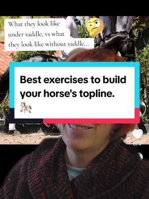 Replying to @mariareut.sj Best exercises to build your horse's topline. 🎠  #horsetraining #groundwork #inhand #horserider #horses #horsepeople #equestrianlife #horsestuff #horseriders #equestriansoftiktok #equestrianeducation #horseeducation #topline #horsetopline #greenscreen 