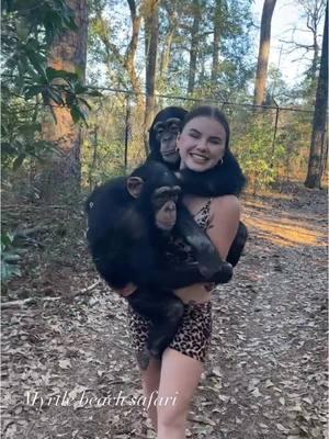 These loves of mine🩷🐒☮️ • • • #monkeymom #Chimps #chimpanzee #chimps #apes #cuteanimals #animalsaddict #animals #explorepage #animals #animallover #monkey #monkeys #monkeyseemonkeydo #monkeylove #onelove #family #myfamily #riolilly #tara #angada 