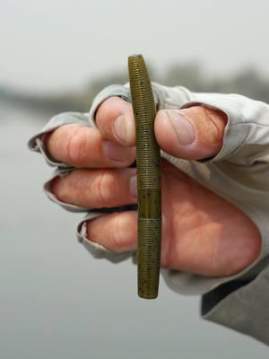 Legendary action in a bulkier profile! The @yamamotobaits 4" Fat Senko is built to get the attention of bigger fish. Check out the full video with #CodyMeyer on YouTube! #TackleWarehouse | #Yamamoto #FatSenko