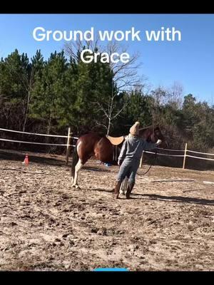 #findinggrace #americanpainthorse #mares #newhorse #groundwork #connectiontraining #horsemanship 