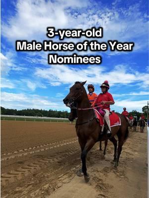 Whose got your vote for the 3-year-old Male Horse of the Year Eclipse Award!? 👑 #triplecrown #belmontstakes #travers #fierceness #sierraleone #dornoch 