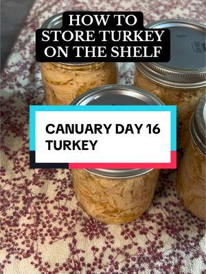 We love some shelf stable meat! Ps this process can work for all meat! Chicken, turkey, roast chunks, ground beef, etc. Times are the same! Quarts: PC 90 mins Pints: PC 75 mins Waterbath (rebel): 3 hours  Be sure you’re following everyone for Canuary: @It’s Jenn Again 🪴  @Mountain Heart Homestead  (tomorrows video baked beans!) @Savannah Barnett  @shay yvonne | homemaker ✝️🌷  #canuary #canningtok #beginnercanning #mybasichomestead #canningandpreserving #canningtiktok #homesteadforbeginners #homestead #canningseason #fromscratch 