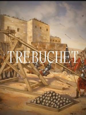 trebuchet #trebuchet #medieval #medievalcore #caitsbooks  