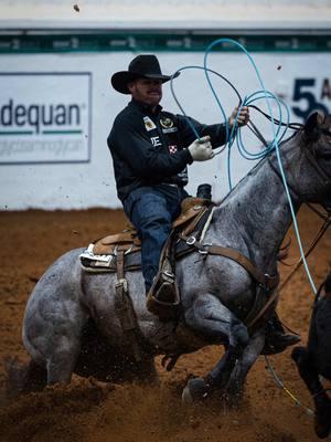 Making history. Pride And Joyy ‘Kilo’ LTE $313,000+ AQHA World Champion Heel Horse Stevie Rey Von x Fun N Fancy Free, Peptoboonsmal 2025 fee: $5,000 Footage by @The Team Roping Journal  #theverybest | #soloselecthorses | #stallion | #bayroan | #ropehorse | #WorldChampion | #relentlessremuda | #heelhorse | #trevorbrazile 