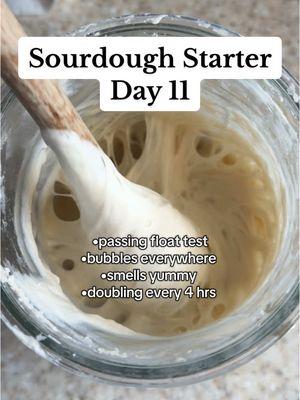 Day 11, Orlando is thriving and happy. Debating on cheez its or pretzels for my first discard recipe. #discardrecipes #sourdough #sourdoughstarter #sourdoughfeeding #sourdoughjourney #sourdoughforbeginners #sourdoughstarters #sourdoughhowto #sourdoughtiktok #sourdoughtips #sourdoughstartertips #sourdoughscoring #sourdoughrecipe #bakingfromscratch #sourdoughbread 