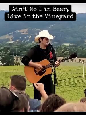 My #resolution for 2025: more concerts in vineyards. @Brad Paisley #vineyard #wine #napavalley #livemusic #Outdoors #f #fyp #fypシ #foryoupage 