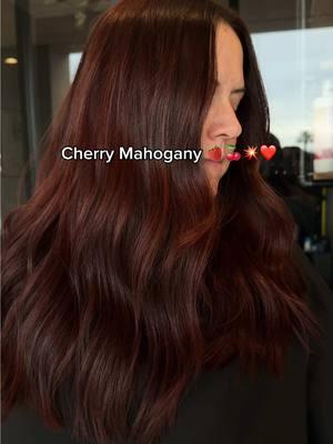 Loveee❤️🍒🍓💥 #copperhair #deepcopper #redcolorhair #houstonhairstylist 