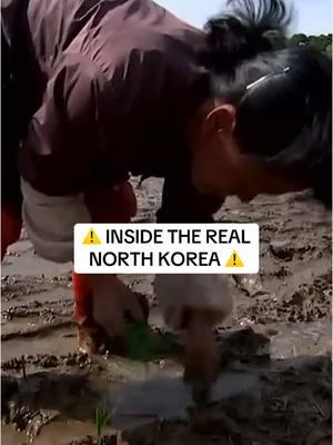 #northkorea #northkorea🇰🇵 #unseenfootage #clips 