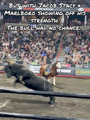 This bull was not having it. But this horse wasn’t having it either. 💪 #pbr #pbrbull #bullriding #bulls #fyp #foryou @PBR 