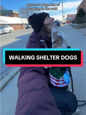 The cold doesn't get in my way of doing good thanks to @Columbia Sportswear Omni-Heat Infinity! My coat, pants, shoes, gloves, and hat kept me very warm and while being lightweight and comfortable. #ad  I loved walking dogs at @Chicago Canine Rescue and will definitely be back. :)  #ColumbiaPartner #shelterdogs #rescuedogs #winterfashion #givingback