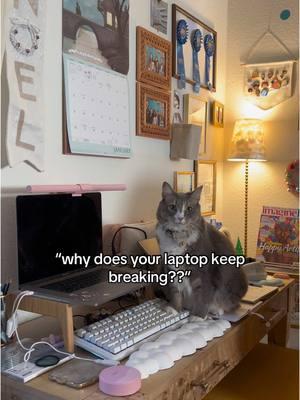 and i’ll forgive him every time 😭 #catsoftiktok #laptopcat #desksetup 