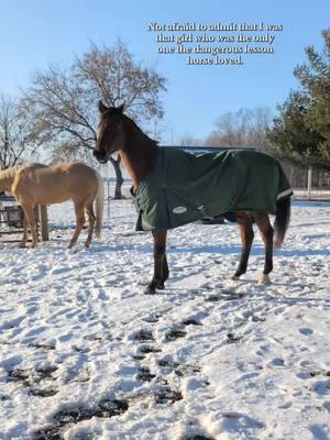 The way I'm not lying or exacturating 😭. The HORRIOR stories we heard about him were insane, grabbing a child by the shoulder and throwing them, biting people left and right.  #horse #hearthorse #equine #equestrianlife #equestrian #fyp #foryoupage #ottb #thoroughbred #horseriding #lessonhorse #lessonbarn #horseridinglesson 