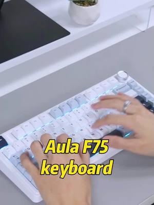 Best budget creamy keyboard for under $70. For a prebuilt board there is nothing I would modify on this mechanical keyboard. Its amazing how good the Aula F75 is especially if your looking for a 75% layout with a knob. Gasket mounted Tri mode connectivity Hot swappable Tons of RGB Creamy sounding keyboard #mechkeys #mechkeebs #mechkeyboards #keebs #keebtok #mechanicalkeyboards #mechanicalkeyboard #typingasmr #keyboardasmr #thockykeyboard #aulaf75 #budgetkeyboard #creamybudgetkeyboard