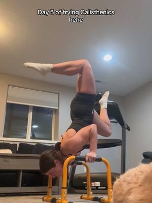 #calisthenics #beginnercalisthenics 