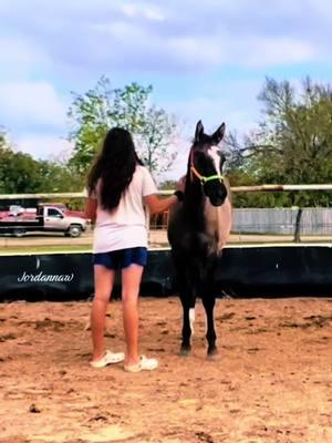 🖤✨ #heart #Love #nowandthen #beauty #friend #grullo #horses #horsesoftiktok #lovemyboy #fyp #tiktok 