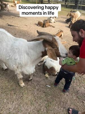 safe to say my son loves that farm life 😭 #fyp #fypviral #fypviralシ #storytelling #babytoks #babyjoy #babytiktok #boymom #boymomlife #foryoupage #farmlife #farmbaby 