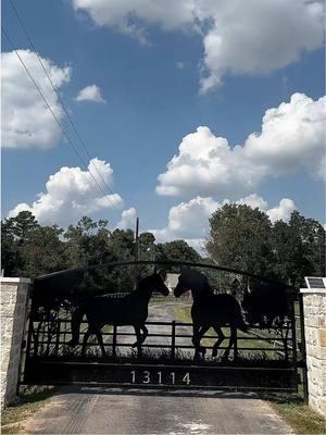 We offer a variety of gate styles to choose from, but it doesn’t stop there! 🎨✨ If you’ve seen it or drawn it, we can bring it to life. You’re the artist, and we’re the crafters. Let’s create your masterpiece together! 🛠️ #CustomGates #YourVisionOurCraft #EndlessPossibilities #CapCut #horse #horses #horsesoftiktok 