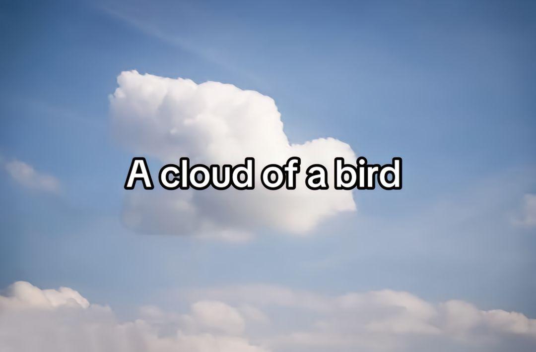 It’s Sonic!!!!! #sonic #sonicthehedgehog #bird #plane #cloud #fictionalcharacters #fictionalcharacter #fyp #meme #fyppppppppppppppppppppppp 